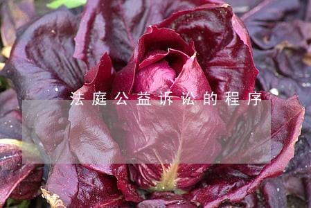 法庭公益诉讼的程序 法庭公益诉讼的程序