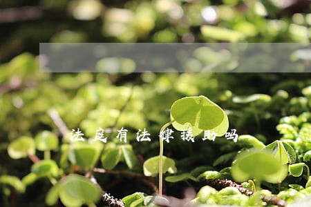 法庭有法律援助吗 法庭有法律援助吗