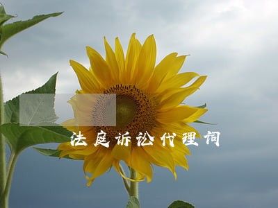 法庭诉讼代理词
