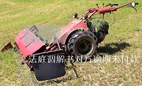 法庭调解书对方逾期未付款 法庭调解书对方逾期未付款