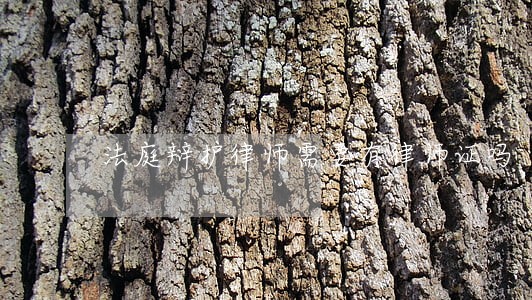 法庭辩护律师需要有律师证吗 法庭辩护律师需要有律师证吗