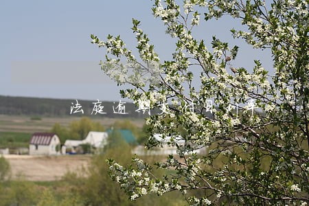 法庭逾期支付日利率