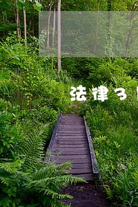 法律3月1号网贷逾期 法律3月1号网贷逾期