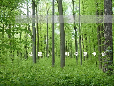 法律ai科学家专访