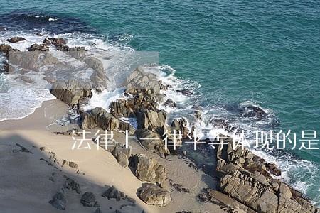 法律上一律平等体现的是刑法中 法律上一律平等体现的是刑法中