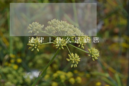 法律上什么是新恶 法律上什么是新恶