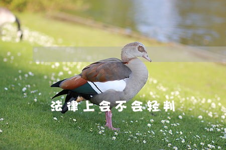 法律上会不会轻判 法律上会不会轻判