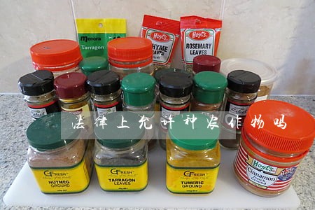 法律上允许种农作物吗 法律上允许种农作物吗