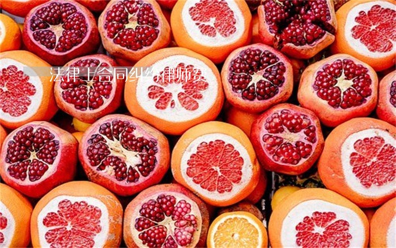 法律上合同纠纷律师费 法律上合同纠纷律师费
