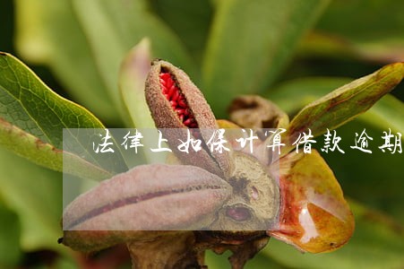 法律上如保计算借款逾期利息 法律上如保计算借款逾期利息