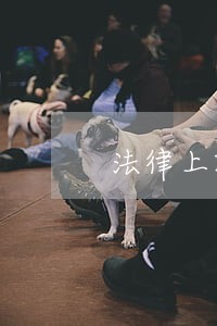 法律上就生效了吗 法律上就生效了吗