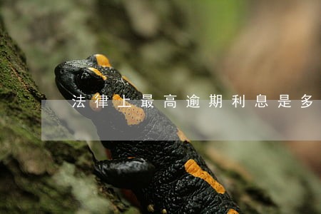 法律上最高逾期利息是多少 法律上最高逾期利息是多少