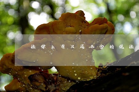 法律上有只还本金的说法嘛 法律上有只还本金的说法嘛