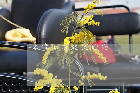 法律上有赔偿的吗 法律上有赔偿的吗