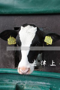 法律上每逾期一年怎么理解 法律上每逾期一年怎么理解