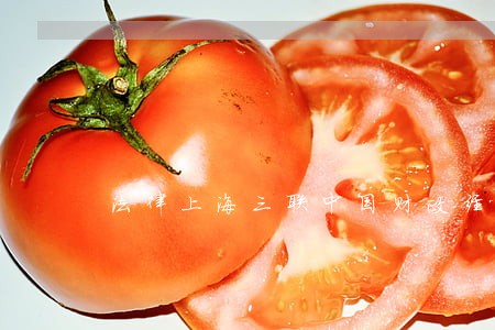 法律上海三联中国财政经济出版社 法律上海三联中国财政经济出版社