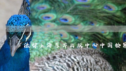 法律上海东方出版中心中国检察出版社 法律上海东方出版中心中国检察出版社