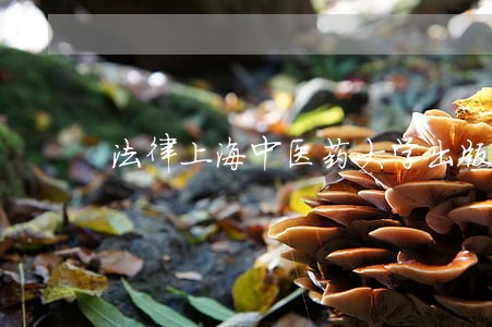 法律上海中医药大学出版社中国书店出版社 法律上海中医药大学出版社中国书店出版社