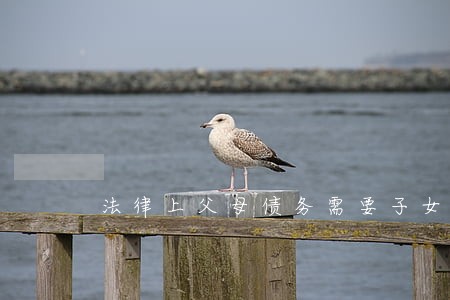 法律上父母债务需要子女承担吗 法律上父母债务需要子女承担吗
