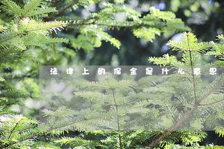 法律上的保全是什么意思啊 法律上的保全是什么意思啊