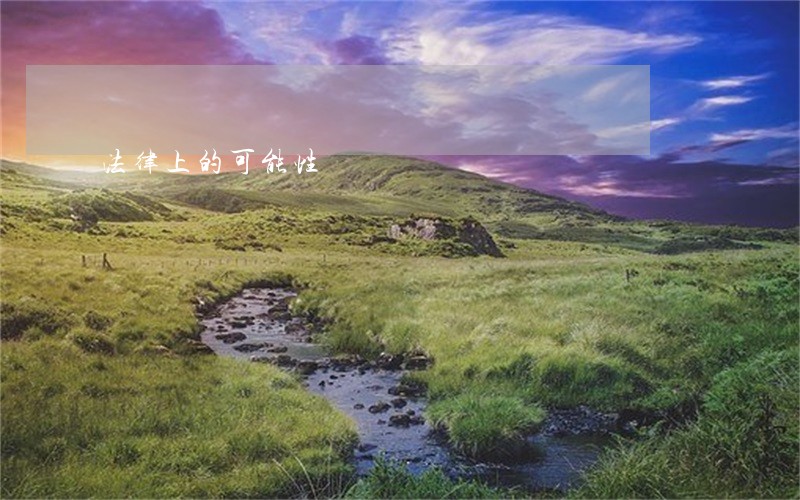法律上的可能性 法律上的可能性