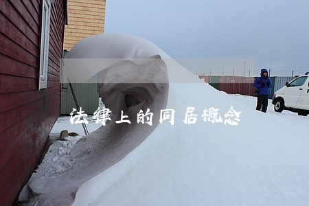 法律上的同居概念 法律上的同居概念