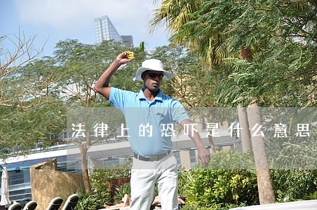 法律上的恐吓是什么意思 法律上的恐吓是什么意思