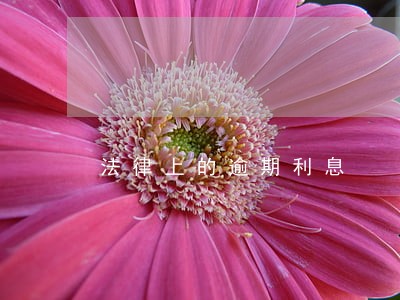 法律上的逾期利息 法律上的逾期利息