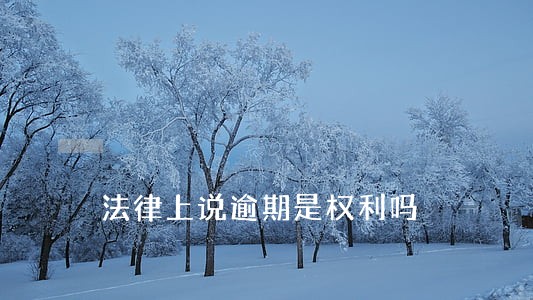 法律上说逾期是权利吗 法律上说逾期是权利吗