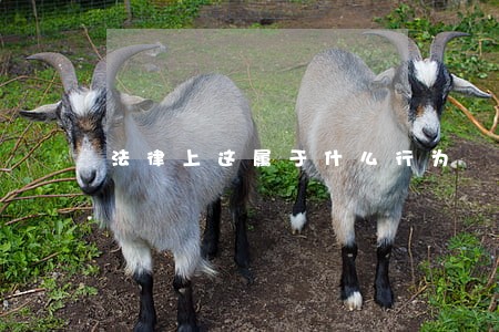 法律上这属于什么行为 法律上这属于什么行为