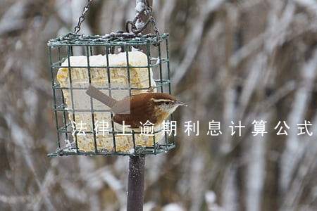 法律上逾期利息计算公式 法律上逾期利息计算公式