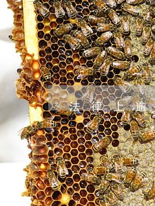 法律上逾期多少会有问题 法律上逾期多少会有问题