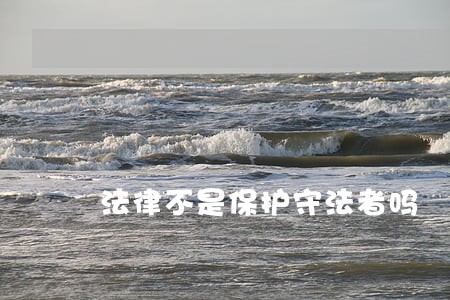 法律不是保护守法者吗 法律不是保护守法者吗