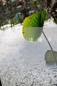 法律不规定出轨算违法