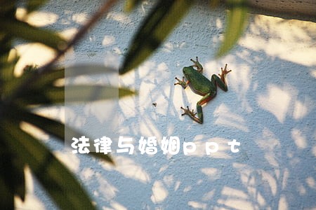 法律与婚姻ppt 法律与婚姻ppt