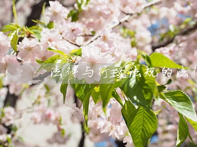 法律与行政法规的法律效力