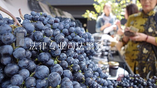 法律专业司法警务 法律专业司法警务