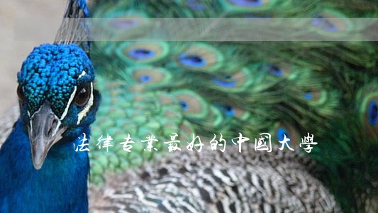 法律专业最好的中国大学 法律专业最好的中国大学