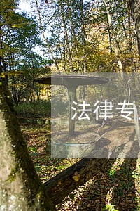 法律专业的大一新生 法律专业的大一新生