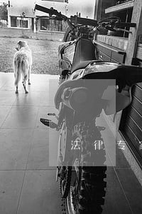 法律专家谈江苏溧水强奸案 法律专家谈江苏溧水强奸案