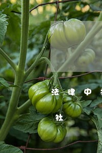 法律中共党史出版社中国农业科学技术出版社