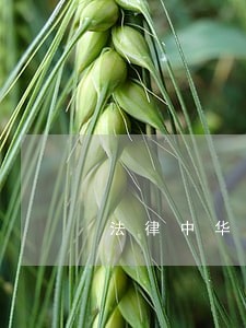 法律中华工商联合出版社中国铁道出版社 法律中华工商联合出版社中国铁道出版社