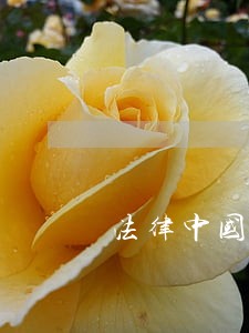 法律中国三峡出版社吉林大学出版社 法律中国三峡出版社吉林大学出版社