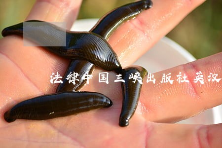 法律中国三峡出版社英汉 法律中国三峡出版社英汉
