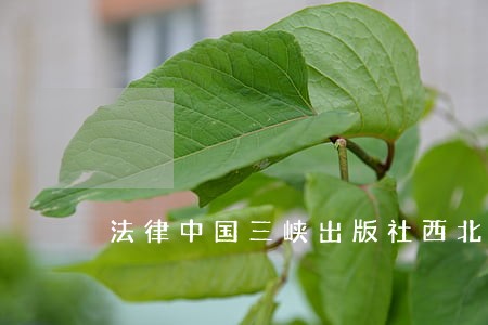 法律中国三峡出版社西北工业大学出版社 法律中国三峡出版社西北工业大学出版社
