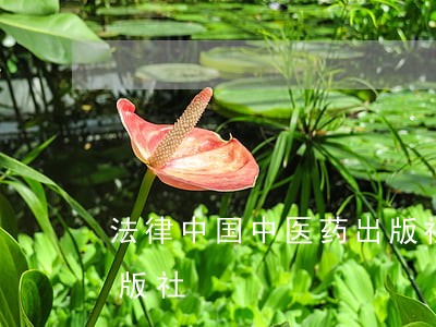 法律中国中医药出版社中国人民公安大学出版社 法律中国中医药出版社中国人民公安大学出版社