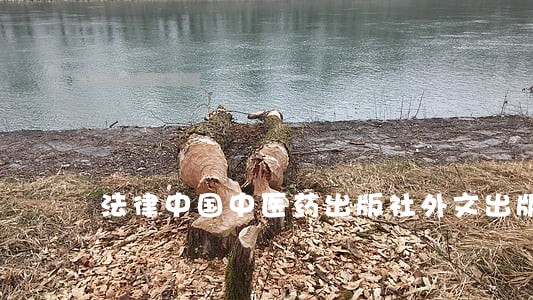 法律中国中医药出版社外文出版社 法律中国中医药出版社外文出版社