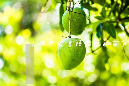 法律中国书籍出版社葫芦弟弟 法律中国书籍出版社葫芦弟弟
