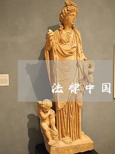 法律中国人民公安大学出版社小脚鸭 法律中国人民公安大学出版社小脚鸭