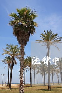 法律中国传媒大学出版社华文出版社 法律中国传媒大学出版社华文出版社
